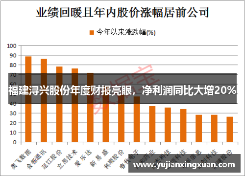 福建浔兴股份年度财报亮眼，净利润同比大增20%