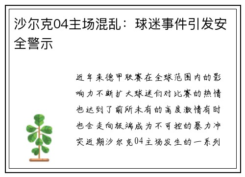 沙尔克04主场混乱：球迷事件引发安全警示